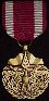 Meritorious Service Medal